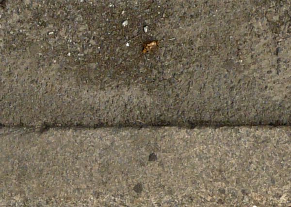 Road edge texture with a patch of green grass meeting an area of dark grey concrete. A stone divider runs horizontally through the center of the concrete, and bits of debris lie between it and the grass.